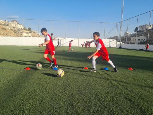أنشطة الأكاديمية