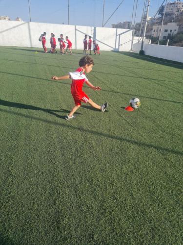 أنشطة الأكاديمية