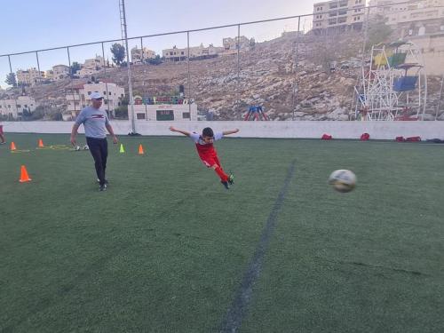 أنشطة الأكاديمية